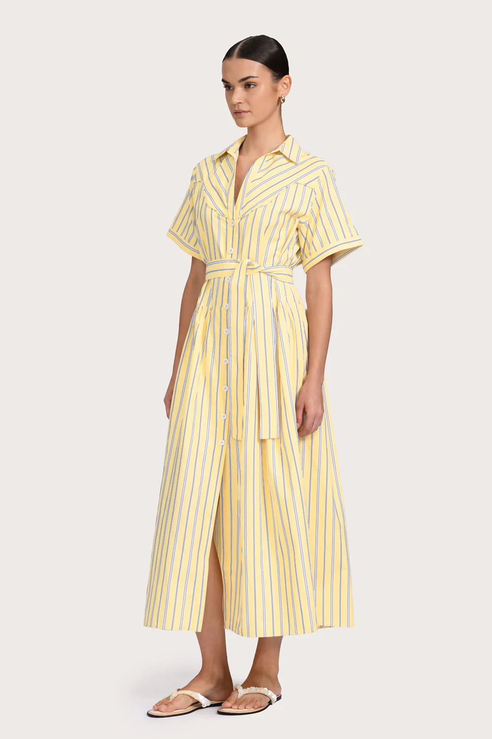 Georgie Dress - Lemon - Image 3